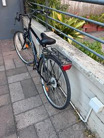 Bici da uomo