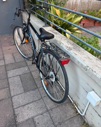 Bici da uomo