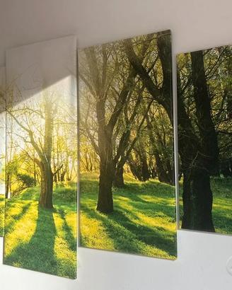Quadro 5 pannelli bosco luminoso