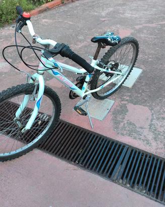 bicicletta donna
