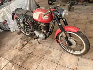 Bianchi 175 Tonale - 1961