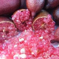 limoni  caviale rosa