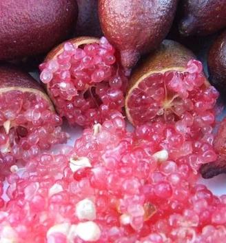 limoni  caviale rosa