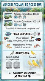 canarini, pesci tropicali, e tanto altro