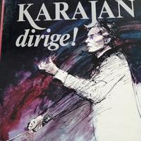 Dischi long playing 