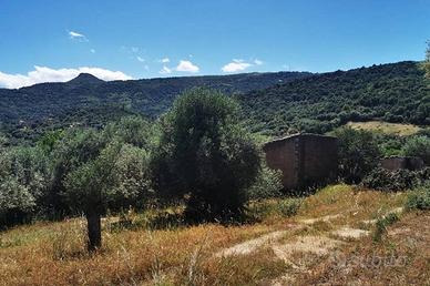 Terreno di 14000 m² a Loceri