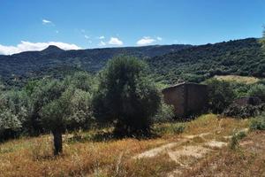 Terreno di 14000 m² a Loceri