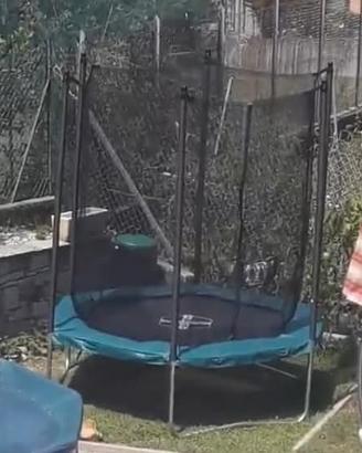 Trampolino elastico hexagonal 240