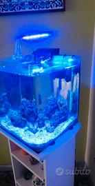 Acquario reef marino 35x35x35 completo