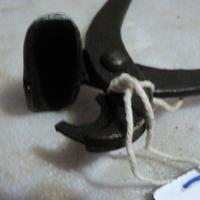 Particolare pinza z 10