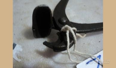 Particolare pinza z 10