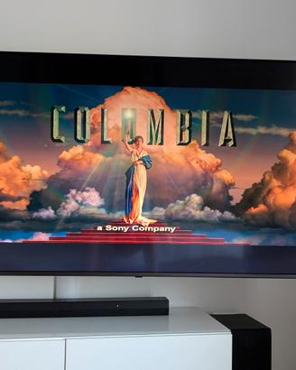 LG TV LED 65 pollici 4k 