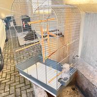 Gabbia per inseparabili e uccelli