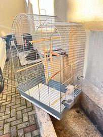 Gabbia per inseparabili e uccelli