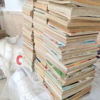 Oltre 200 fumetti di topolino