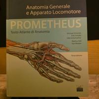 Libri anatomia universita