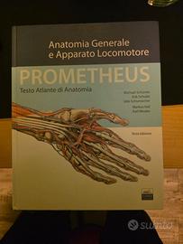 Libri anatomia universita