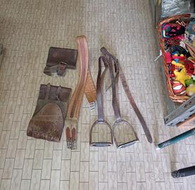 Attrezzatura  cavallo 