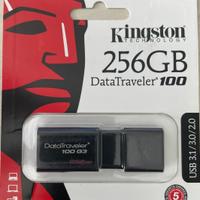 PenDrive Kingston DataTraveler 100 G3 - 256Gb