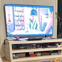 Mobile TV
