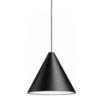 STING LIGHT CONE