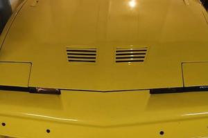 Pontiac Trans-Am 5.0 V8 ASI