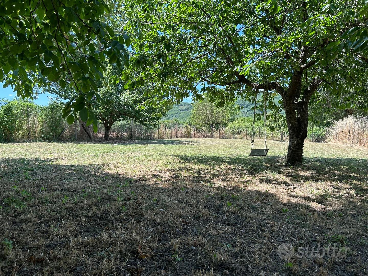 Terreno agricolo - Vista 6