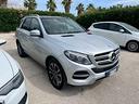 mercedes-benz-gle-250-d-4matic-sport