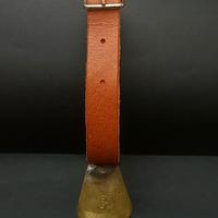 Campanaccio  Sardo  n° 6