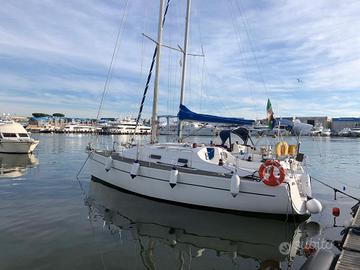 Barca a vela Blu Phoenix Cruiser o Sport NUOVA