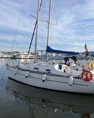 Barca a vela Blu Phoenix Cruiser o Sport NUOVA