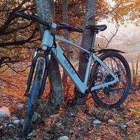 Bicicletta elettrica