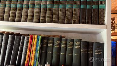 enciclopedia Rizzoli Larousse