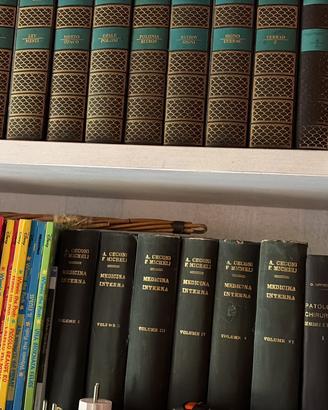 enciclopedia Rizzoli Larousse