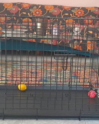 Trasportino per animali domestici 