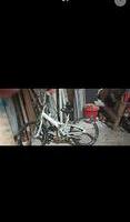 Bici bmx grigia senza canbio taglia 20