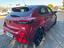 Immagine 6