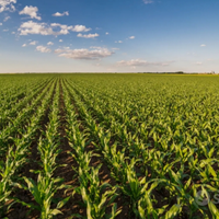 Azienda agricola di prestigio a seminativo