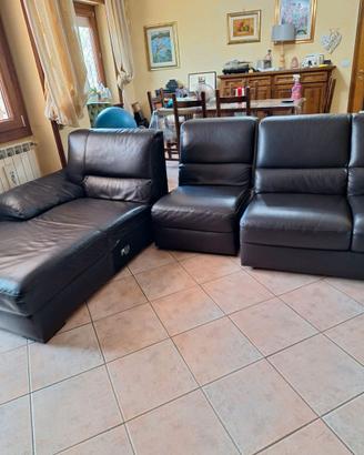 DIVANO NATUZZI