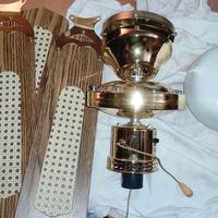 Ventilatore a soffitto Morea