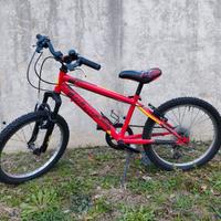 Mountain Bike Bambino Olmo raggio 20