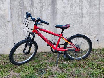 Mountain Bike Bambino Olmo raggio 20