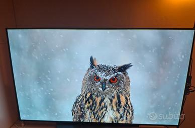 LG OLED 55'