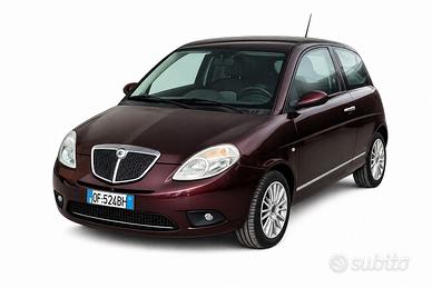 Lancia Ypsilon 1.3 MJT 75 CV Platino