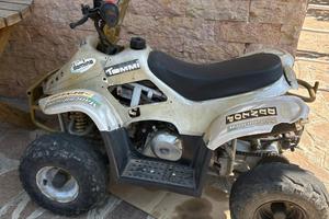 quad 110