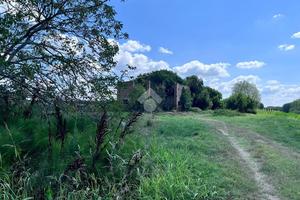 RUSTICO A MALALBERGO