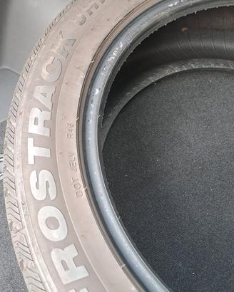 Gomme invernali 18'' Minerva Frostrack