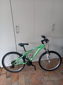 Mountain bike