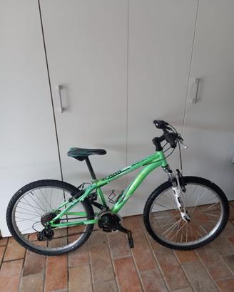 Mountain bike
