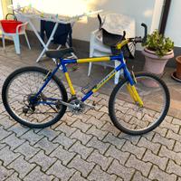 Bici mountain bike 26